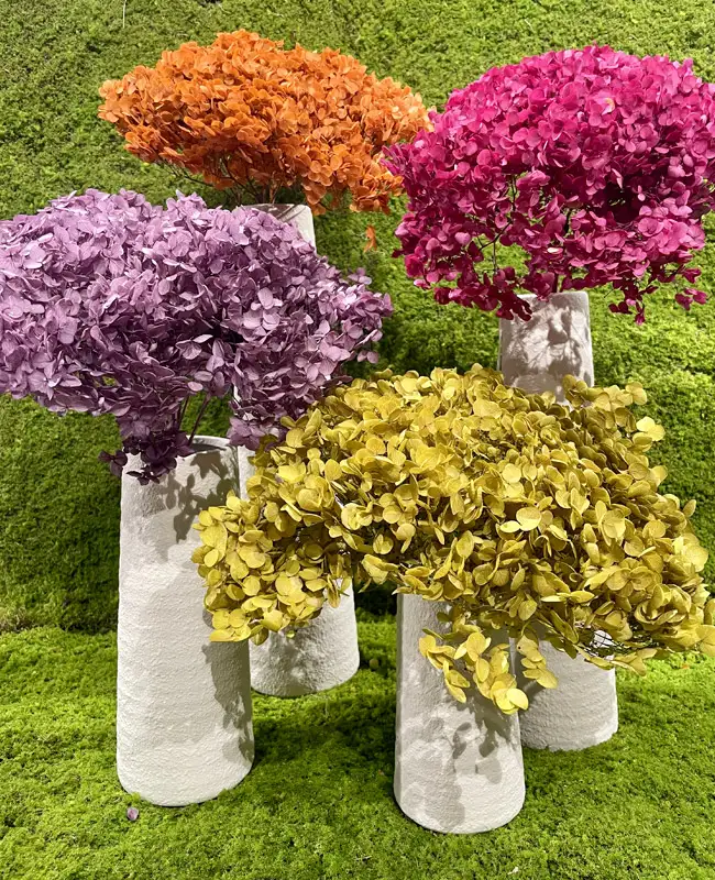 Ortensie e vasi cilindrici