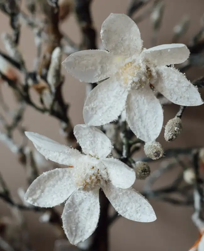 Magnolia innevata artificiale