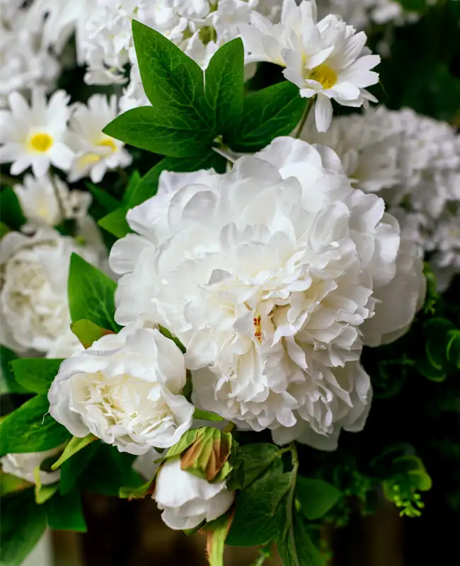 Peonia artificiale