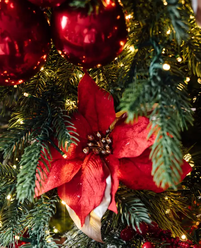 OPEN SUNDAY Christmas 2026