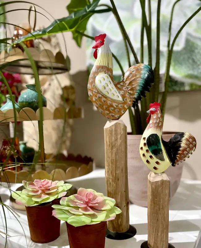 Gallinella decorativa