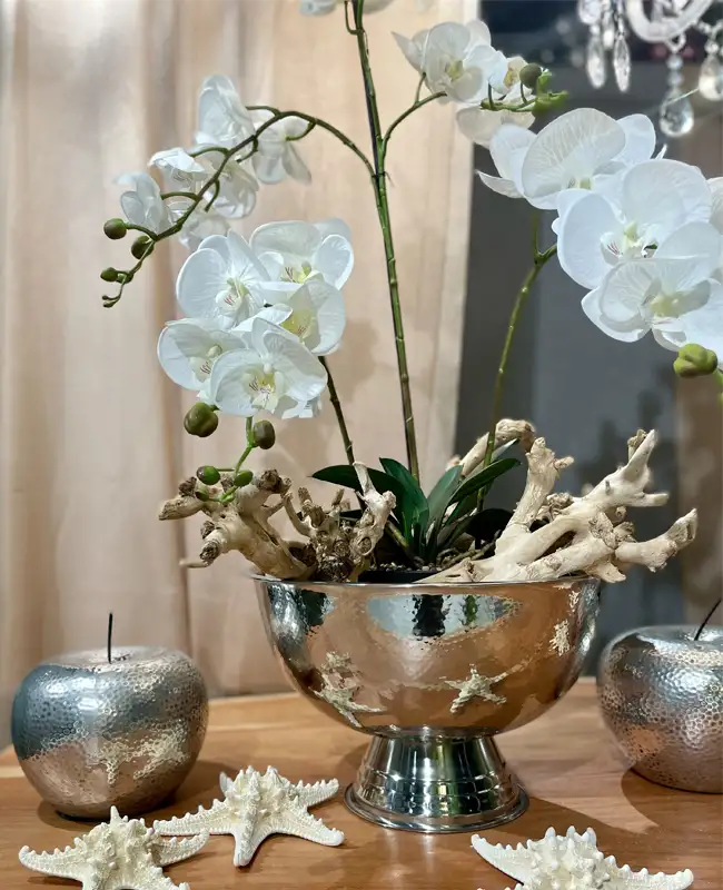 Orchidee artificiali bianche