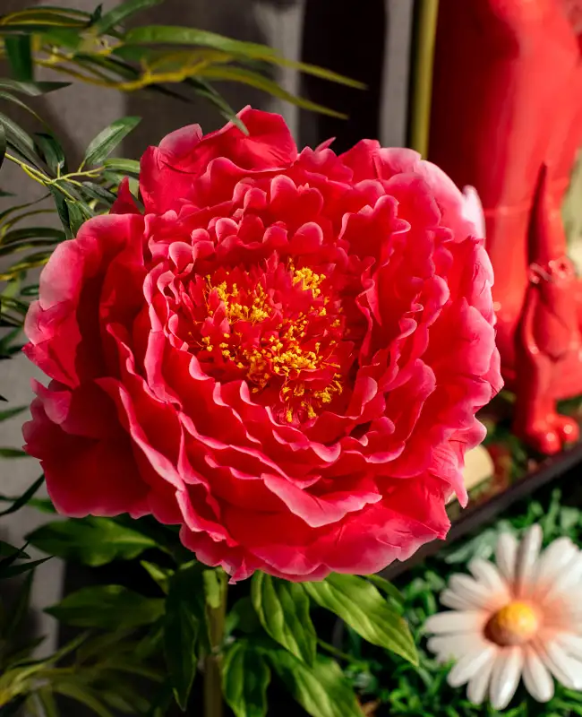 Peonia artificiale