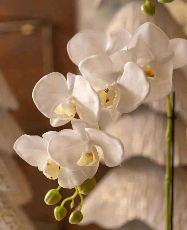 Orchidee artificiali