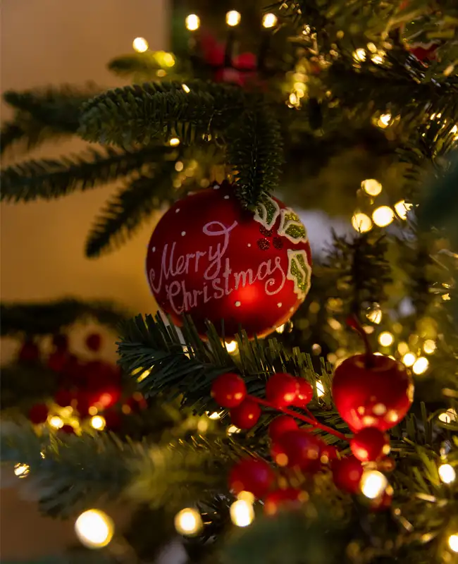 Decorazioni per l’albero di Natale