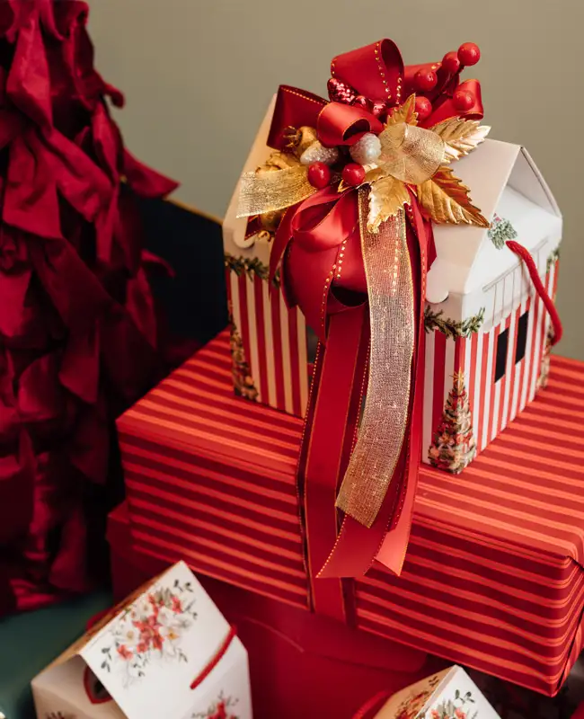 Packaging natalizio a forma di casetta