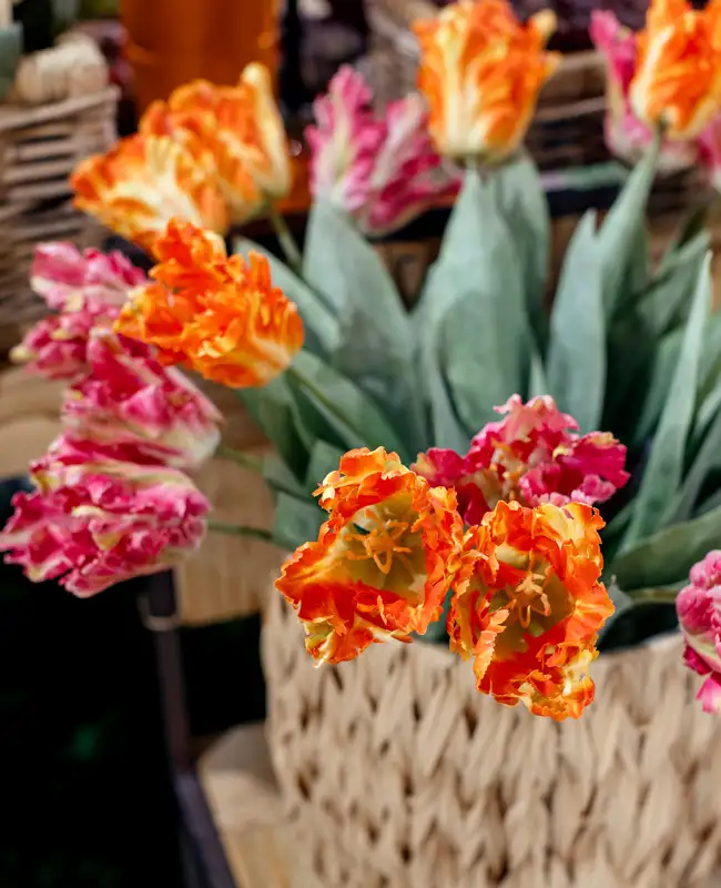 Tulipani Pappagallo artificiali